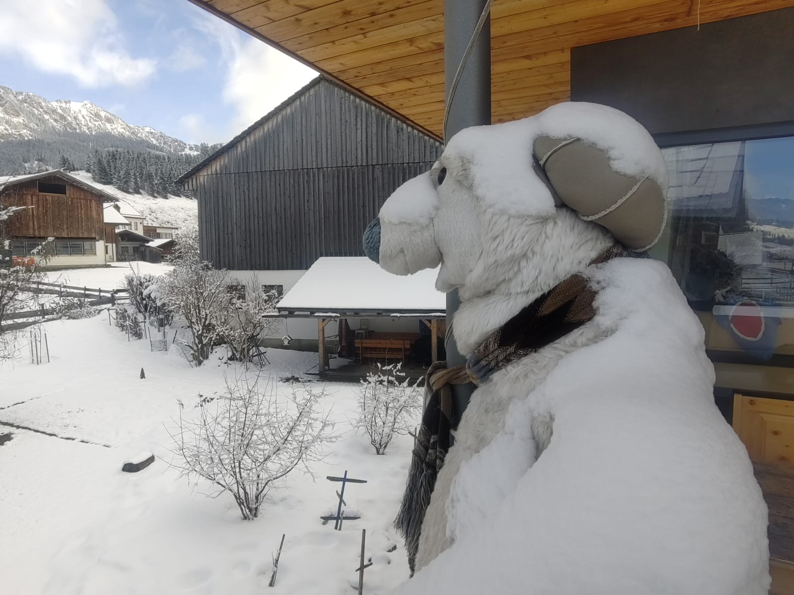 Kuscheliger Plüscheisbär als Dekoration im Appartement Edelweiss in Grän im Tannheimer Tal, Tirol